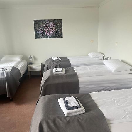 Eidavellir Apartments And Rooms エイイルススタジル エクステリア 写真